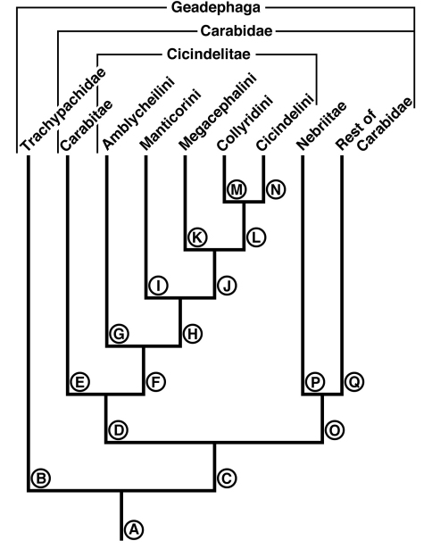 Figure 18.