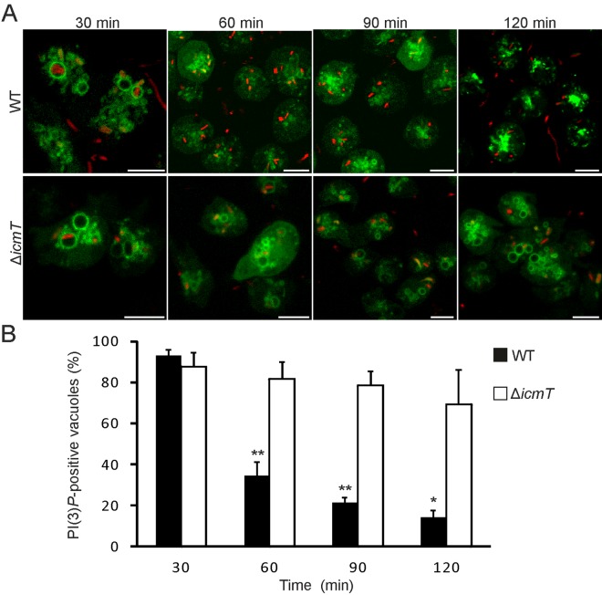 FIG 3 