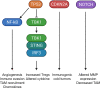 Figure 3