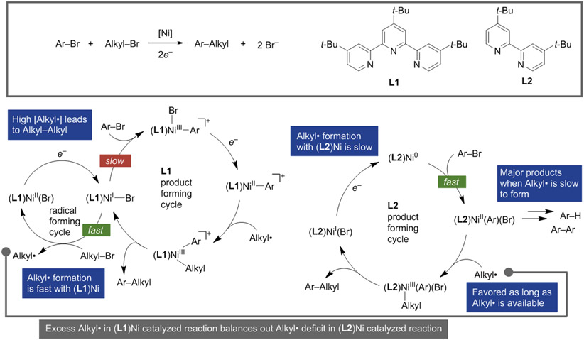 Scheme 3.