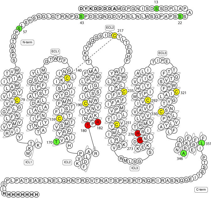 Extended Data Fig. 1