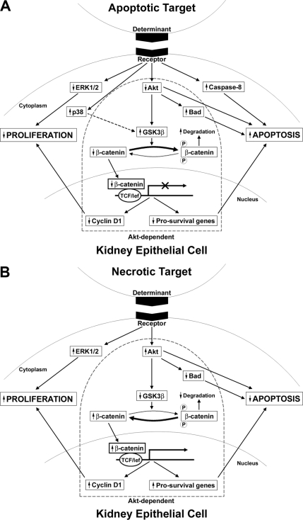 FIGURE 13.