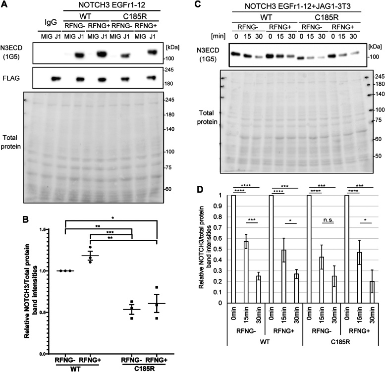 Figure 4