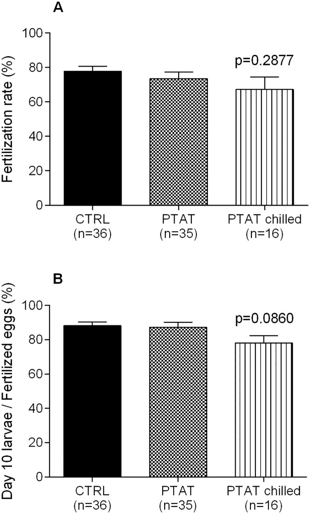 Fig 5