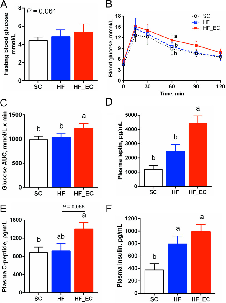 FIG 2