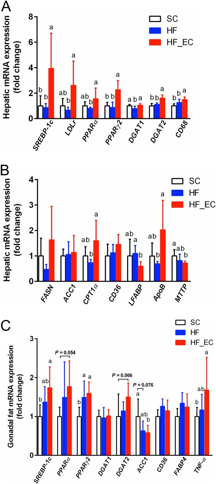 FIG 3