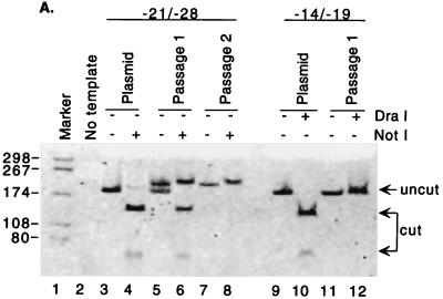 FIG. 5