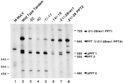 FIG. 8