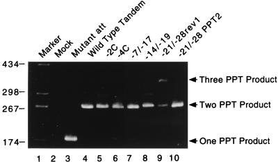 FIG. 7
