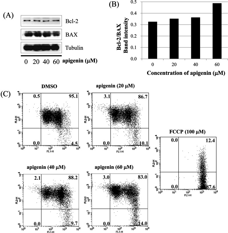 Figure 5