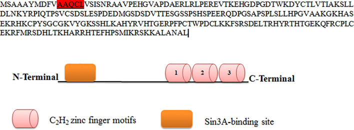 Figure 3