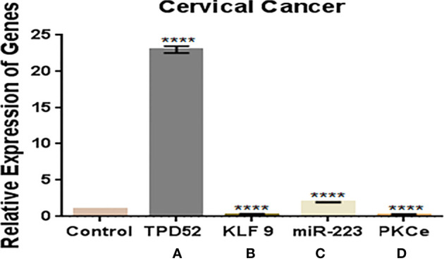 Figure 6