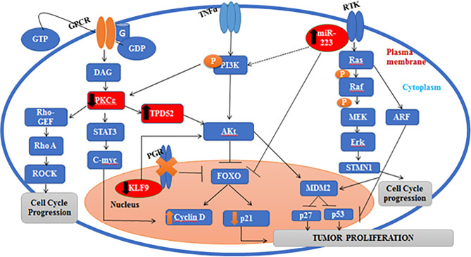 Figure 11