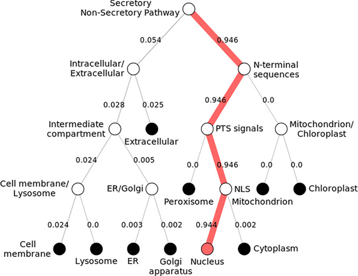 Figure 4