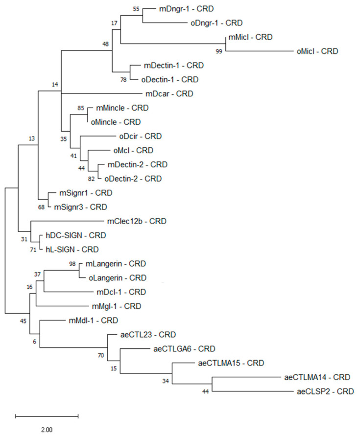 Figure 2