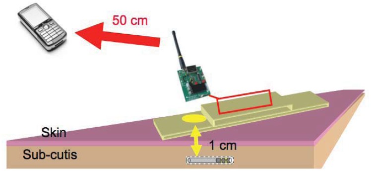 Figure 19.