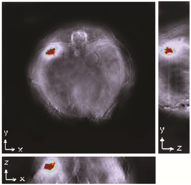 Figure 7