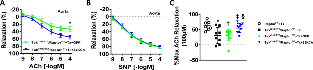 Figure 2 –