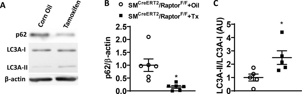 Figure 6 –