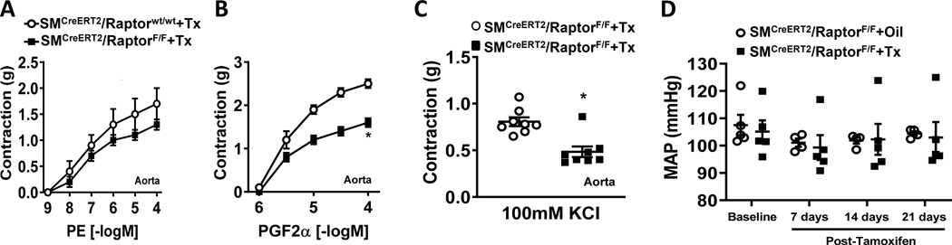 Figure 5 –