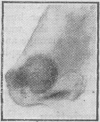 443