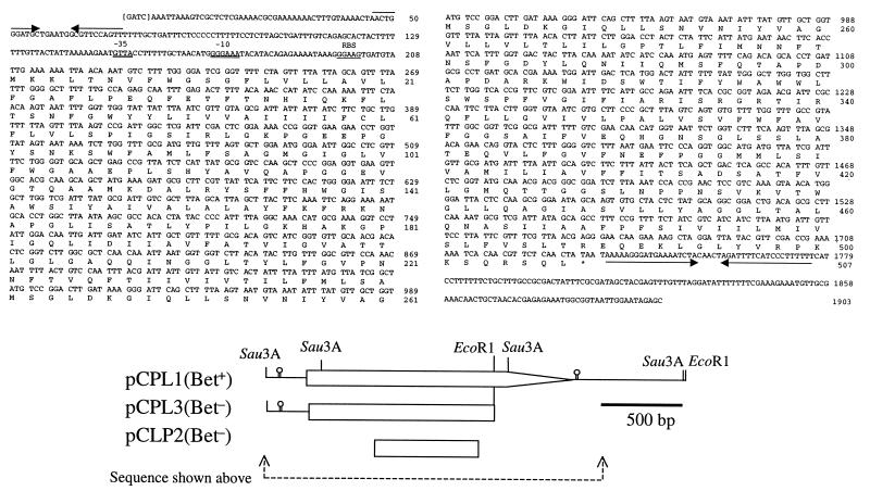 FIG. 1