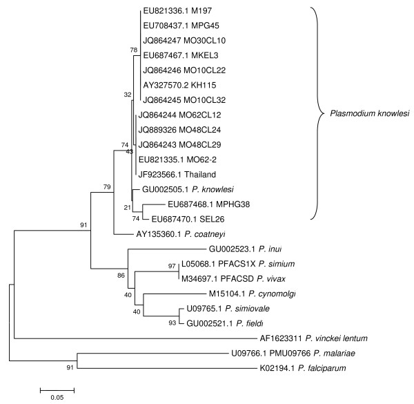 Figure 3 