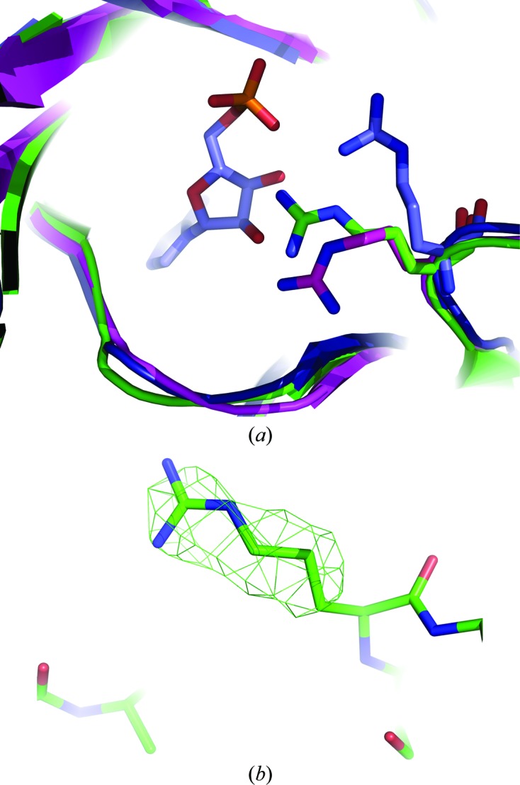 Figure 4