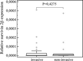 Fig. 6