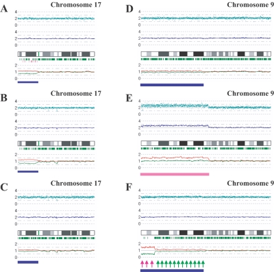 Figure  4. 