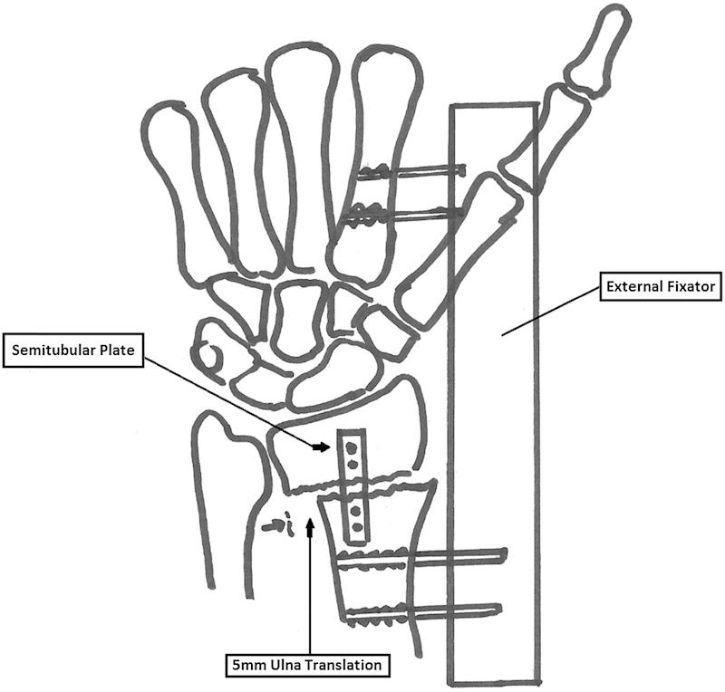 Fig. 5