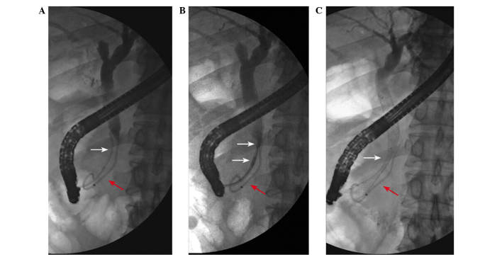 Figure 2.