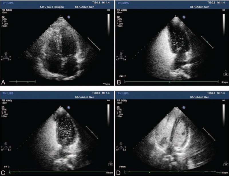 FIGURE 2