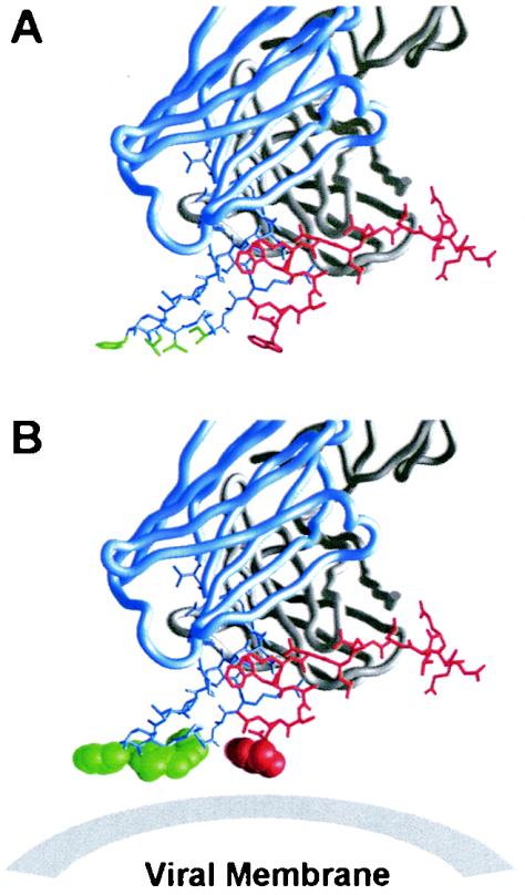 FIG. 4.