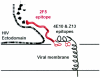 FIG. 6.