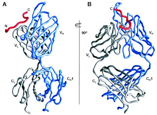 FIG. 1.