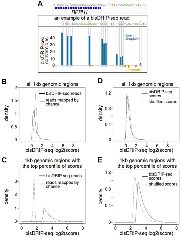 Figure 1—figure supplement 1.