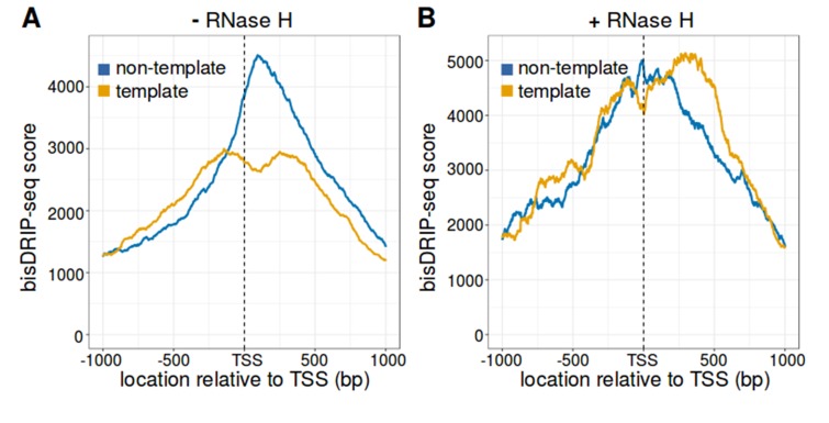 Figure 3—figure supplement 3.