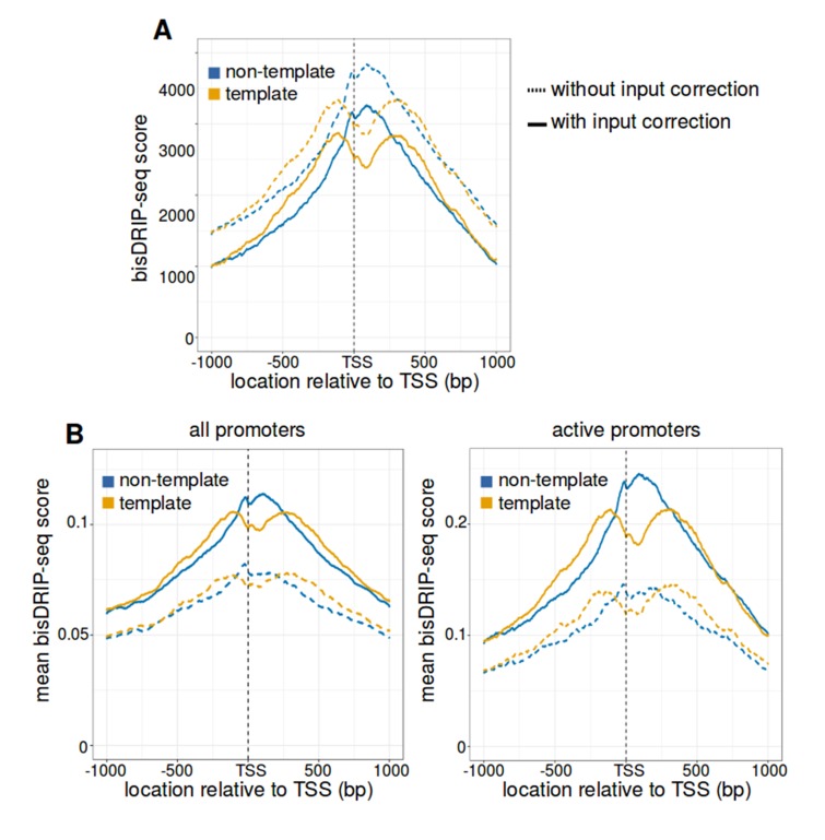 Figure 3—figure supplement 1.