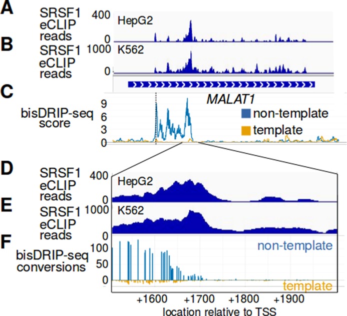 Figure 6—figure supplement 4.