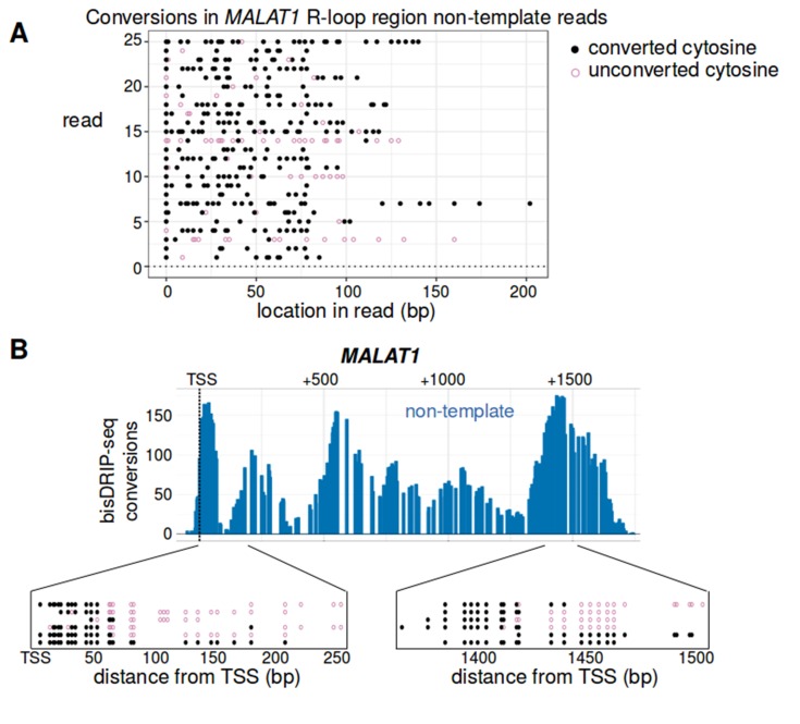 Figure 6—figure supplement 3.