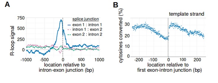 Figure 4—figure supplement 1.