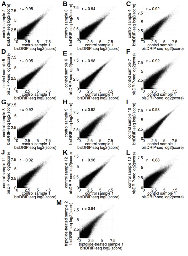 Figure 1—figure supplement 3.