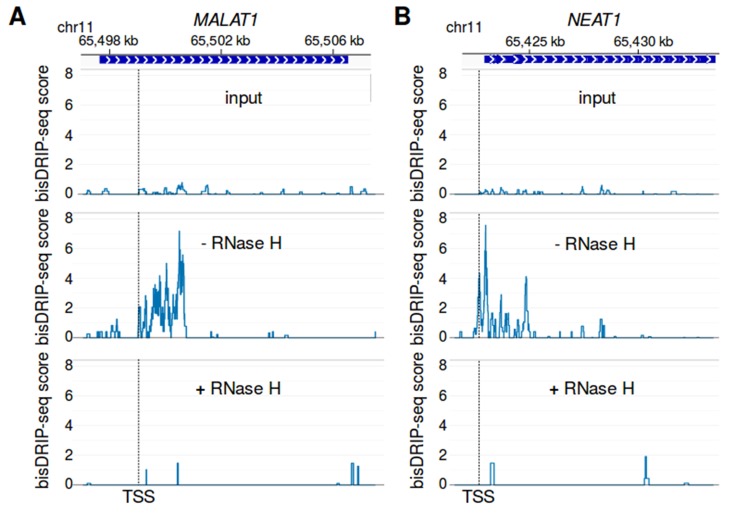 Figure 6—figure supplement 2.