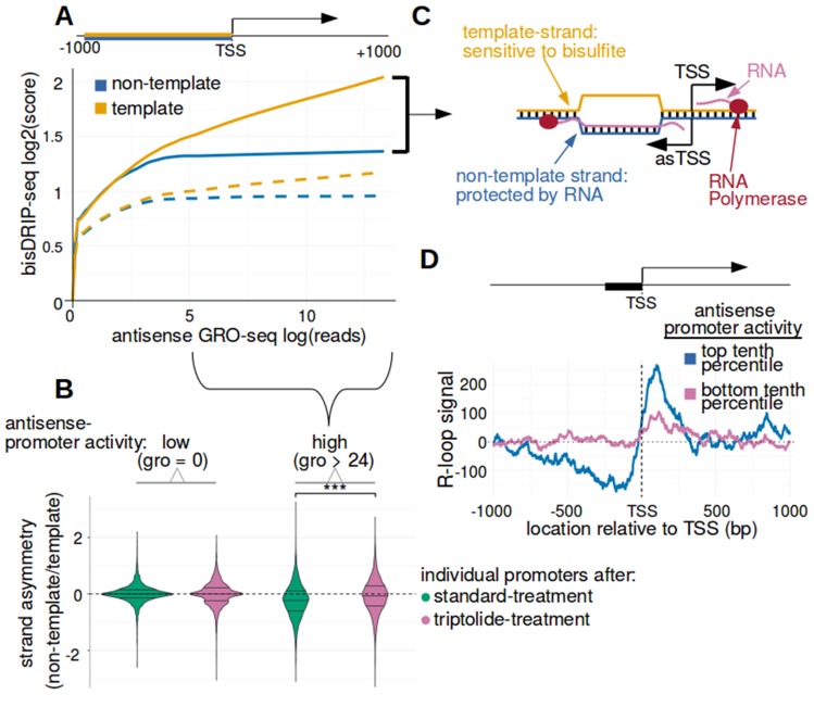 Figure 3—figure supplement 4.