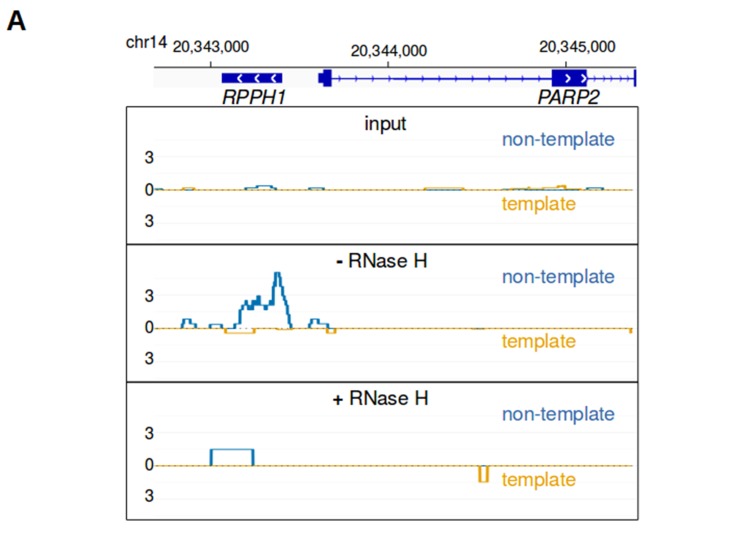 Figure 1—figure supplement 2.