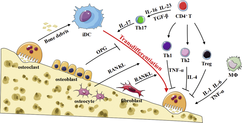 Figure 3