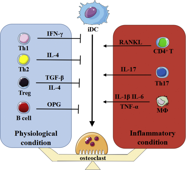 Figure 2