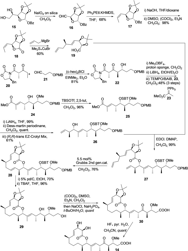 Scheme 3