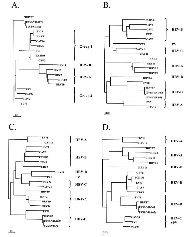 FIG. 2.